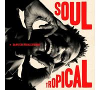 David Walters Soul Tropical (CD) Album Digipak