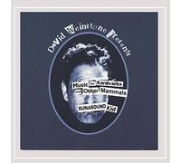 David Weinstone & Music for Aardvarks & Other - Runaround Kid