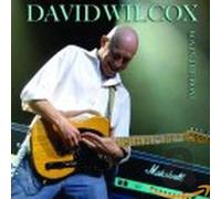 David Wilcox - Boy in The Boat
