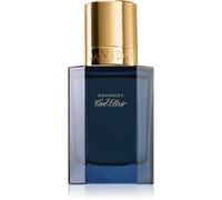 Davidoff Cool Elixir Parfum Intense parfum pour homme 30 ml