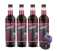 DaVinci Gourmet Classic BlackBerry Lot de 4 sirops 720 ml