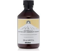 Davines Natural Tech Shampooing purifiant antipelliculaire 250 ml