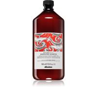 Davines Naturaltech Energizing shampoing qui stimule la pousse des cheveux 1000 ml