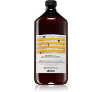 Davines Naturaltech Nourishing shampoing pour cuir chevelu déhydraté et cheveux fragiles secs 1000 ml