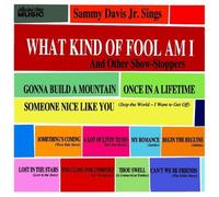 Davis,Sammy Jr. - What Kind of Fool am I [Import]