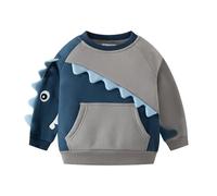 DAWILS Sweatshirt Garçon Pullover Noël Crocodile Gris Molleton Col Rond Printemps Automne Hiver Sportswear Enfants Décontracté Maillot de Survêtement Pull Veste pour Bébé Garçon 4 Ans