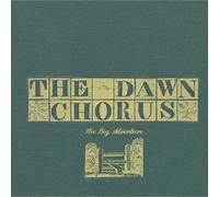 Dawn Chorus - Big Adventure
