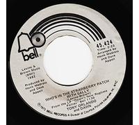 DAWN featuring TONY ORLANDO - WHO'S IN THE STRAWBERRY PATCH WITH SALLY - 7 inch vinyl / 45