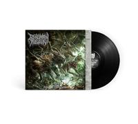 Dawn of a Malefic Dominion