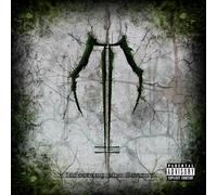 Dawn Of Ashes - Infecting The Scars