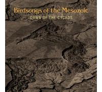 Dawn of The Cycads