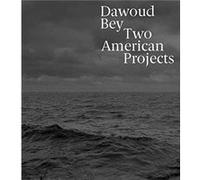 Dawoud Bey by Elisabeth Sherman Elisabeth Sherman (Auteur)