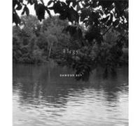 Dawoud Bey Elegy by Valerie Cassel Oliver Valerie Cassel Oliver (Auteur)