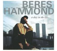 Day In The Life by Beres Hammond (1998-10-27)