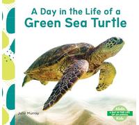Day in the Life of a Green Sea Turtle