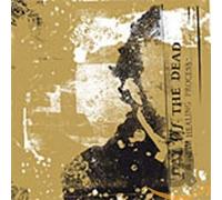 Day of the Dead - New Healing Process