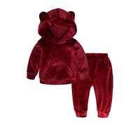 DAY8 Ensemble Bébé Fille Automne Vêtement Enfant Fille 1-6 Ans Hiver Manche Longue Pas Cher a la Mode Sweat Fille avec Capuche Sport Top Chemise Blouse Printemps + Pantalons (80(6-12 Mois), Rouge)