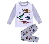 DAY8 Pyjama Bebe Garcon Hiver Vetement Garçon 1-7 Ans Automne Habit Ensemble Enfant Garcon Dinosaure Jogging Survetement Enfant Garcon Top T Shirt Printemps + Pantalon (Gris1, 4-5 Ans)