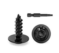 Dayalo Lot de 50 vis à tôle 4,2 x 13 mm à tête plate en acier inoxydable noir avec disque Torx Vis autotaraudeuses à bois à tête bombée Filetage complet avec foret