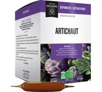 Dayang Artichaut Bio 20 ampoules