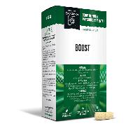 Dayang Boost 20comp
