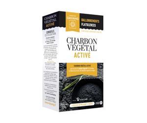 Dayang Charbon Vegetal Active 45 Gélules