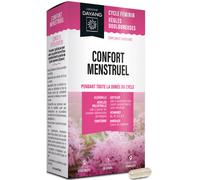 Dayang Confort Menstruel 30 Gélules