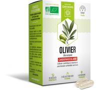 Dayang Olivier Bio Gélules x 30 - Circulation veineuse - Pharmacie en ligne LaSante.net