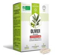 Dayang Phytothérapie Olivier Bio 30 gélules végétales
