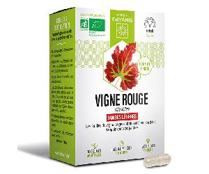 Dayang Phytothérapie Vigne Rouge Bio 30 gélules