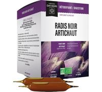 Dayang Radis Noir Artichaut Bio 20 ampoules