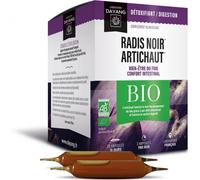 Dayang Radis Noir Artichaut Bio 20 ampoules