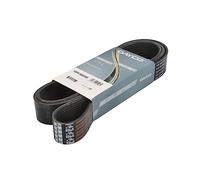 Dayco 10PK1850HD Courroie Striée HD
