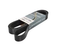 Dayco Courroie Poly‑V 10PK2050HD