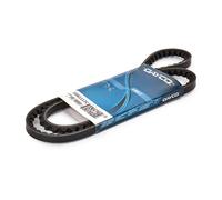 DAYCO 10X1113 Courroie trapézoïdale