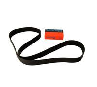 Dayco 12PK1814HD Courroie Striée HD