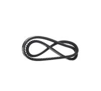 DAYCO 13A1253C Courroie trapézoïdale