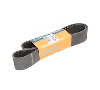 Dayco 14PK1306HD Courroie Striée HD