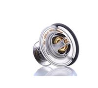 Dayco Thermostat d'eau DT1006V