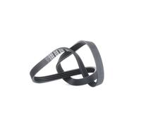 DAYCO 4PK812 Courroie Poly-V