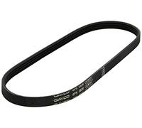 Dayco Courroie trapézoïdale à nervures DAY4PK836EE Poly-V