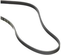 Dayco Courroie trapézoïdale à nervures DAY4PK903EE