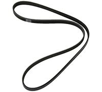 Dayco Courroie d'accessoire 5PK1150S Poly-V trapézoïdale à nervures