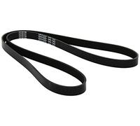 Dayco 5PK1352 Courroie Striée