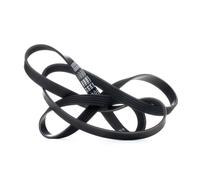 DAYCO 5PK1680 Courroie Poly-V