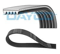 Dayco 5PK700 Courroie Striée