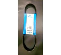 Dayco 6PK 720 Lecteur Ceinture - Porsche 944/968 Non A/C + Peugeot 206 - OEM