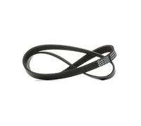Dayco Courroie trapézoïdale à nervures 6PK1020K
