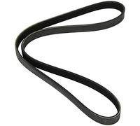 Dayco Courroie d'accessoire trapézoïdale à nervures 6PK1152