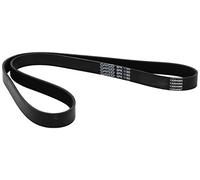 Dayco Courroie trapézoïdale à nervures 6PK1185 – courroie accessoire